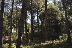 La cabaña del Burguillo