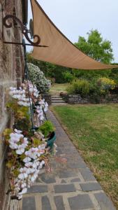 Maisons de vacances La Balniere Normande : Maison 3 Chambres