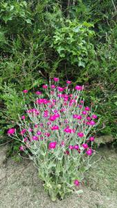 La Balnière Normande