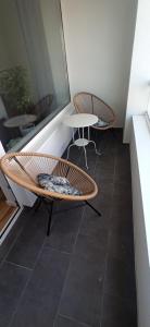 Lux apartment 10 center, free parking