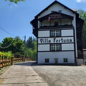 Villa Fortuna - 杜什尼基-兹德鲁伊