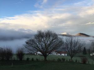 Appartements BaskoParadis I Eco-Gites I Calme I Vue I Anes I Jardin I Montagne I Nature : photos des chambres