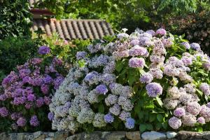 Appartements BaskoParadis I Eco-Gites I Calme I Vue I Anes I Jardin I Montagne I Nature : photos des chambres