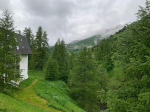 Appartements Residence les etoiles : Studio - Vue sur Montagne