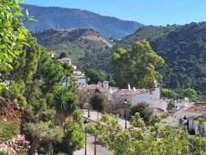 CASA DE FLORES - Бенаавис