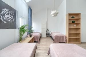 Kamienica Centrum Apartament 19