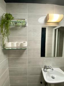 Modern Studios Close To Hyde Park