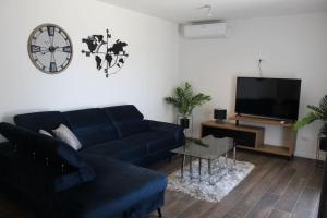 Luxury apartment Cvita 2