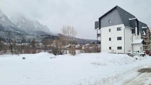Cozy Riverfront Apartments with garden and mountain view