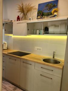 Su terasa jaukus apartamentas, tik vienas