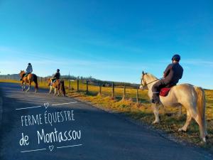 Sejours chez l'habitant Chambres et Gite equestre Le Sellier : photos des chambres