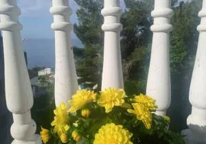 Гостевой дом Polina - Gornji Sušanj