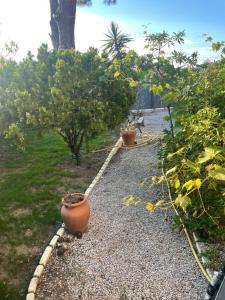 Appartements Casa santa : photos des chambres