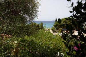 Villino Marigia img18