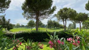 Appartements Charmant T2 avec grande terrasse et confort 3 etoiles : photos des chambres