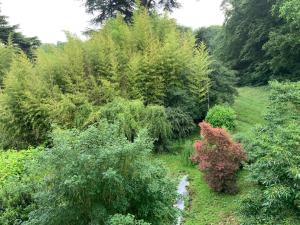 Lodges Chateau de l auberderie : photos des chambres