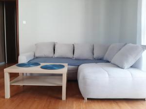 Apartament Borkowo