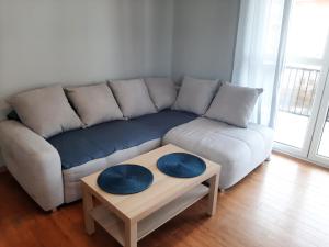 Apartament Borkowo