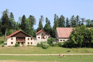 Sejours a la ferme Gite l'essentiel : photos des chambres