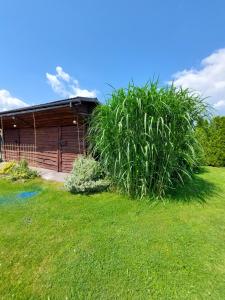 Pokoje w domu na wsi