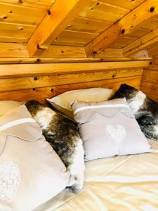 Entre Lac et Pistes de Ski