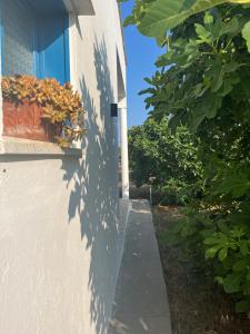 Villa maria