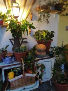 Home Il Cortiglione