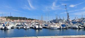 Appartements Port-Vendres, Appartement climatise Vue Mer ! Le port a 3 minutes ! : photos des chambres