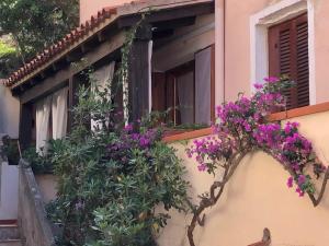 Il nido di Luca a Porto Rotondo