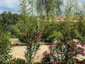 Villas La Villa Douce, entre terre et mer : photos des chambres