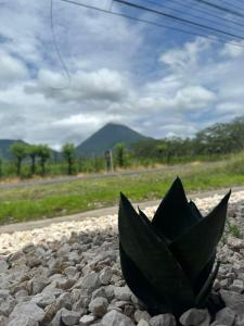 La Casa de Detours Costa Rica