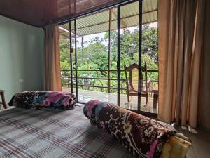 Encanto Arenal lodge