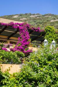 Appart'hotels Residence Helios : photos des chambres