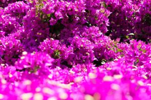 Appart'hotels Residence Helios : photos des chambres