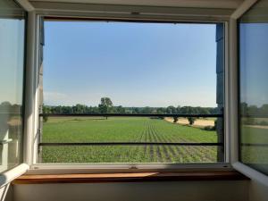 Maisons de vacances Gite Au Soleil des Noes : photos des chambres