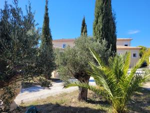 Appartements Villa Cesaria : photos des chambres