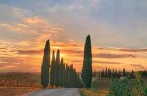 Casa Guardiavigna in Chianti