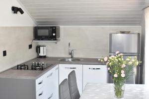 Apartman Pančur 