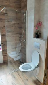 Apartman Reina