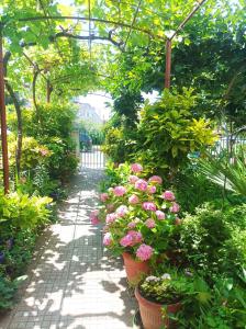 Kiki - family apartment