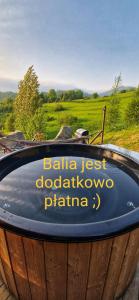 wLesie Domek w Górach Pieniny