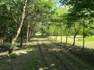 Chalets Sejour nature en Normandie : photos des chambres