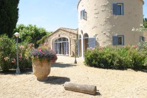 Mirabelle en Provence