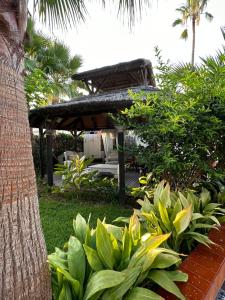 Costabella Marbella a mar