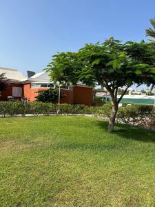 Bungalow Los Melocotones in Maspalomas - Playa del Ingles