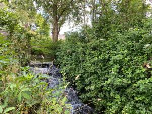 Maisons de vacances Le Moulin du Saon : photos des chambres