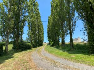 Maisons de vacances Le Moulin du Saon : photos des chambres