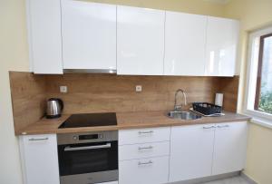 Apartment Ruzica 