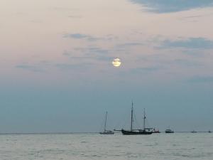 Beachcomber Holiday Apartments