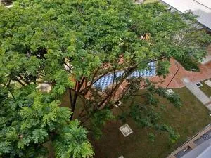 Lindo y acogedor apartamento - 圣弗朗西斯科